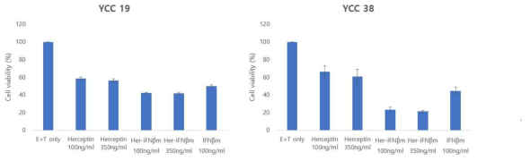 HER2 양성 위암 세포주에서 indirect effect의 in vitro 효능 검증 결과