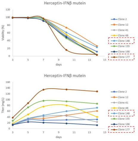 Herceptin-인터페론-베타 변이체 융합단백질의 simple fed batch 결과