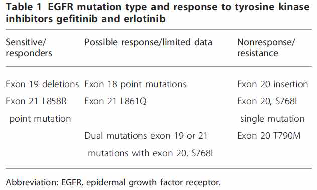 EGFR 유전변이에 따른 항암제 반응성 차이