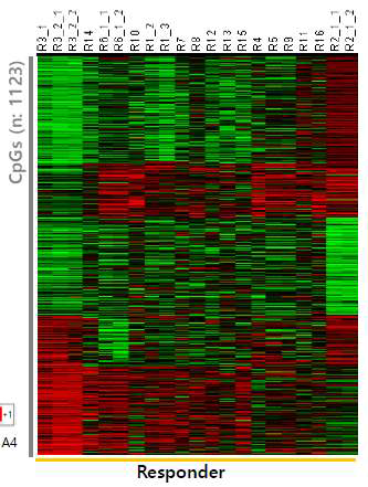 DM= Responder - non-responder를 제한 차이나는 methylation에 대한 heatmap