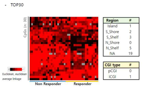 기계학습을 이용한 top30의 반응군/ 비반응군 차이를 보이는 유전자군 도출