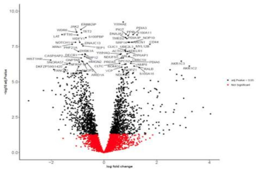 Differentially expressed genes 분석하기 용이한 정도의 DEG가 검출됨