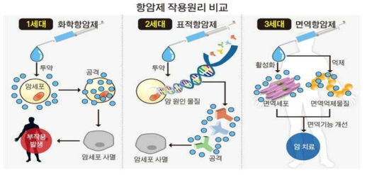 1세대 세포독성 항암제, 2세대 분자표적 항암제에 이어, 면역표적항암제가 3세대 항암제로 향후 각광 받을 것으로 기대되고 있다