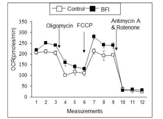 BFI-1의 지방세포 호흡량 증가 효과