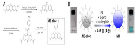 MB-alloc 발색 단량체 합성 모식도(A), palladium 매개 발색반응 증폭반응 모식도와 사진(B)