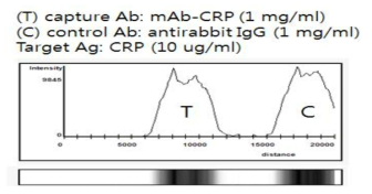 CRP 항원항체반응에 따른 선형업컨버전 형광신호