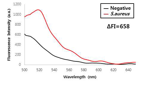 S.aureus를 가한 후 형광세기의 변화;Negative는 1X PBS(pH7.4)를 의미