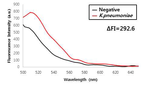 K. pneumoniae를 가한 후 형광세기의 변화; Negative는 1X PBS(pH7.4)를 의미