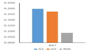 Norovirus G1, G2에 대한 단클론항체 8A7의 반응성