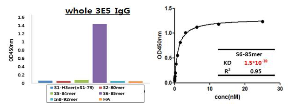 바이오유해물질 검출용 항체(3E5) 후보군의 Kd value
