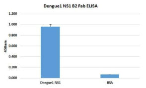 표적항원 Dengue 1-NS1에 결합하는 단일 항체 후보군 개발