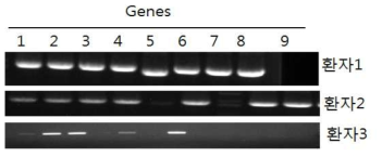 환자 3명의 검체로부터 9개 유전자 증폭 산물의 전기영동사진 1: emrB, 2: tet, 3: vanW, 4: bcr, 5: 23S methyl transferas, 6: murN,7: pmrA, 8: mef, 9: vanG 유전자