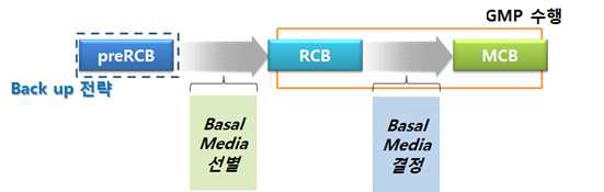 MCB 구축 및 세포주은행 구축 전략