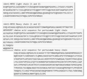 Herceptin과 Perjeta의 아미노산 서열