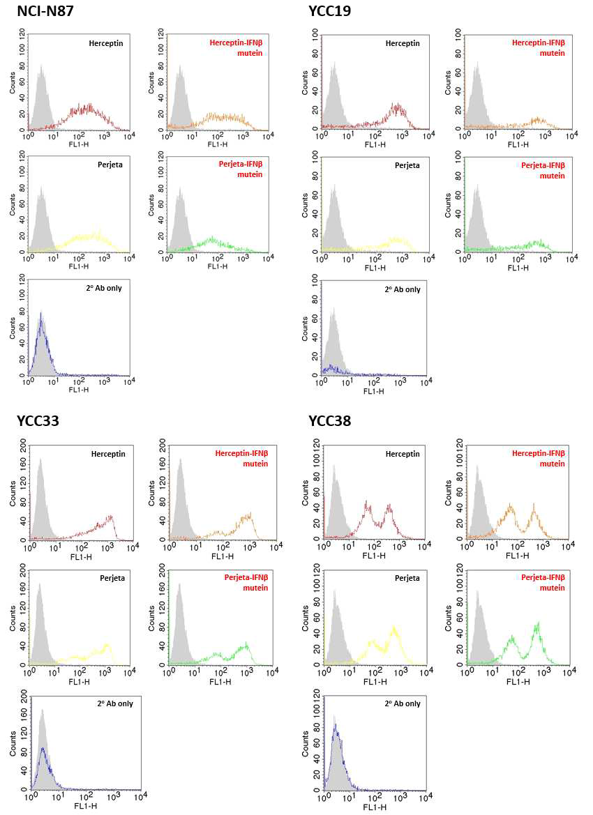 각 융합단백질의 flow cytometry 결과