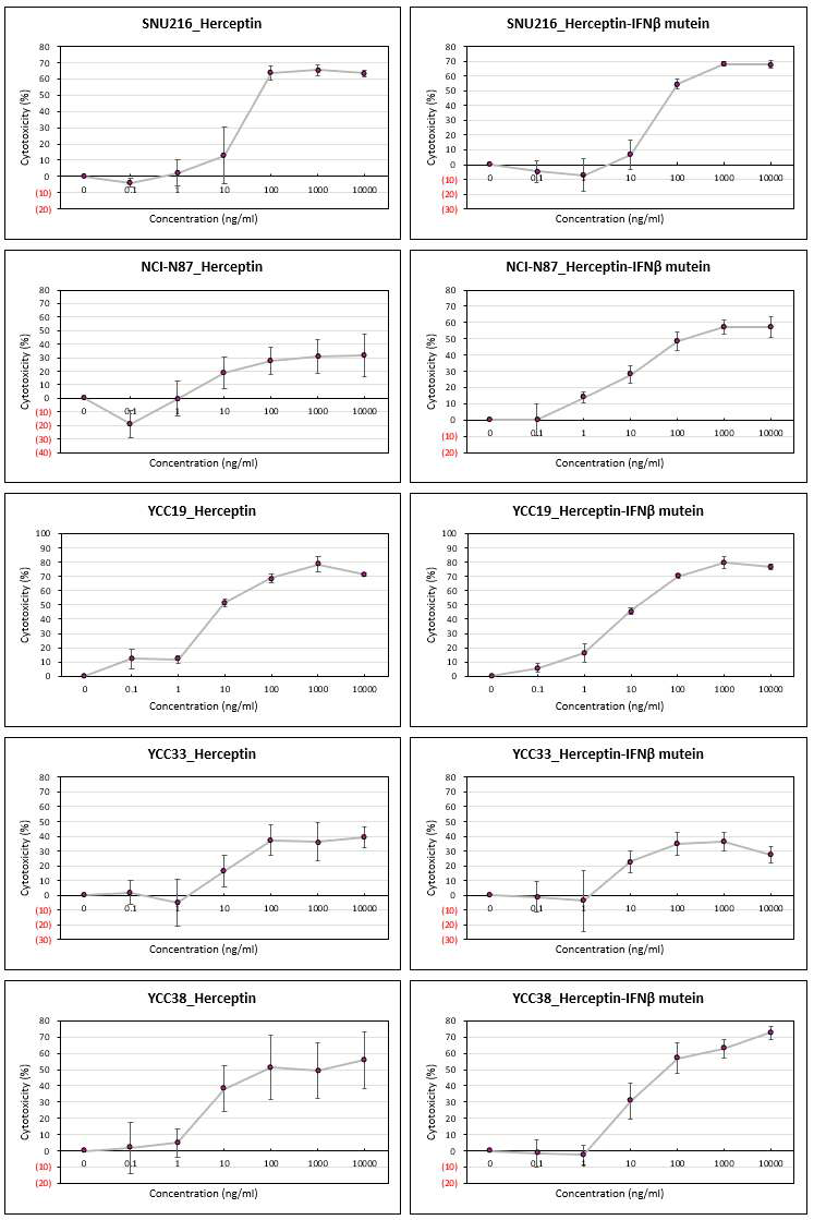 Herceptin-인터페론-베타 변이체 융합단백질의 ADCC 효능 결과