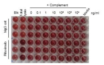 LDH 검출법을 활용한 CDC assay