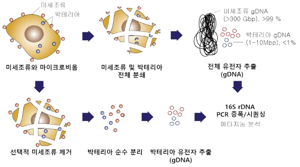 미세조류로부터 선택적 미생물 분리 기술의 필요성과 과정