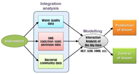 환경/분자/생태 통합분석을 통한 유해조류 예측 및 제어의 연구 흐름도 (HAB: harmful algal bloom)