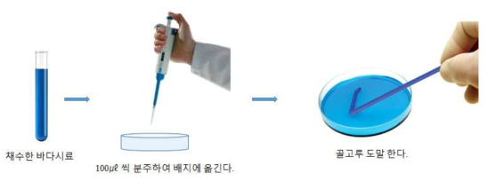 미생물 분리 방법 모식도