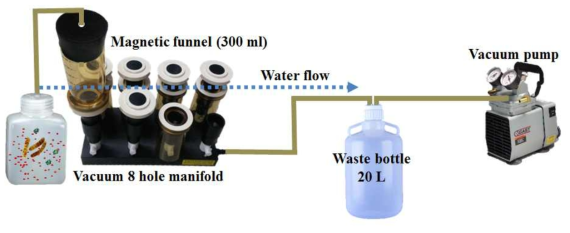 Manifold and funnel based vacuum system was used to collect total seawater. 0.22㎛ filter paper was used to collect microbes in the seawater