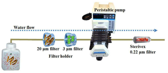 Peristaltic pump and filter holders equipped with different filters (from left to right 20μm, 3μm, and 0.22μm filters) were used to collect different size of microbes in the seawater