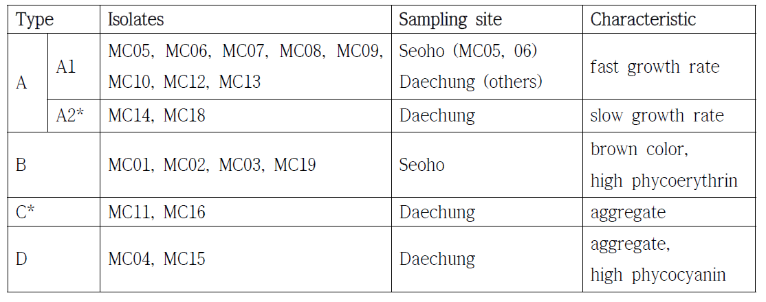 Isolated Microcystis sp. strains genotype and characteristics. *Strains belonging to A2 possessed mcyD, B, and A genes