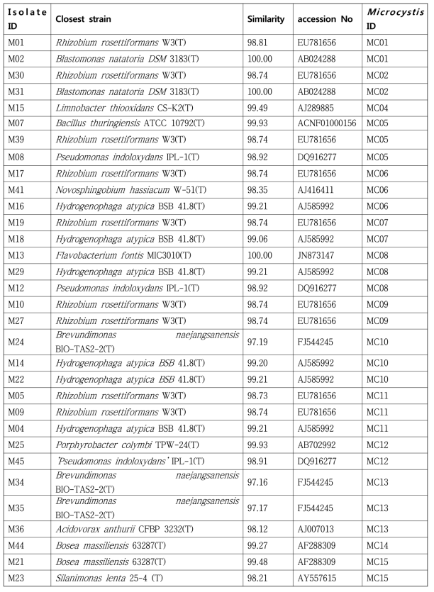 The list of bacterial strains isolated from Microcystis (Isolate ID) and their closest strains reported in previous studies