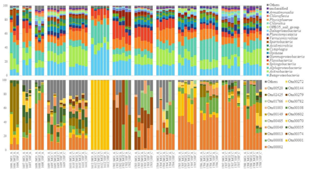 Bacterial community compositions w/o Cyanobacteria (Class level), Cyanobacteria community composition (OTU)