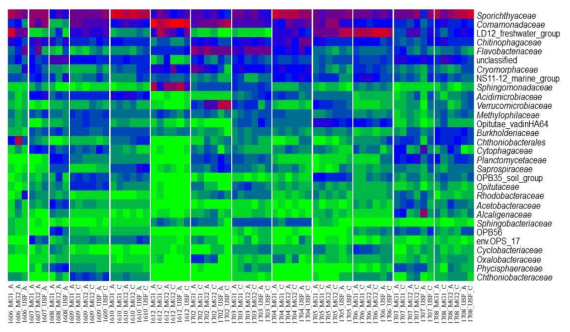 Heatmap constructed with top 10 most abundant families in each sample