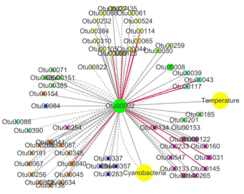 Microcystis sp. (OUT00002)와 상관관계를 보이는 OTUs의 sub-network