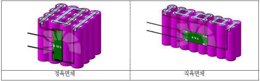 형태에 따른 배터리 팩 설계