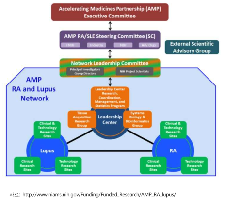 AMP 류마티스 및 루푸스 과제 추진체계
