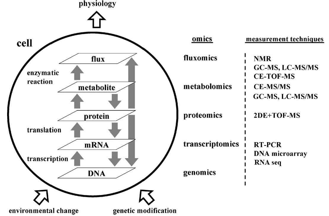 멀티플렉스 오믹스기술들과 실험 방법들 (Proc Biochem. 45: 1873)