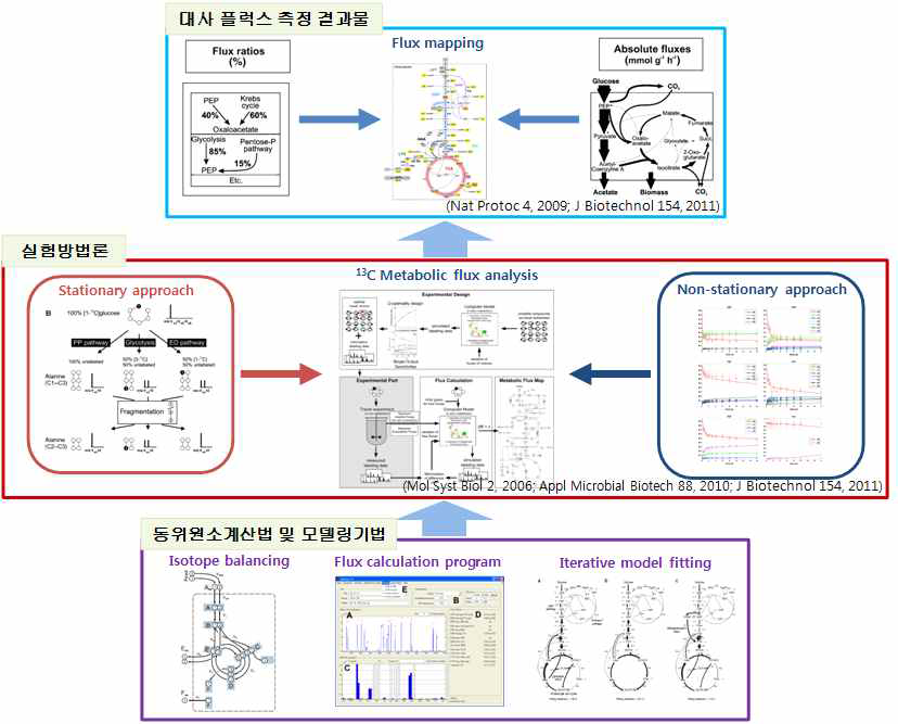 대사 플럭스 측정의 결과물과 두가지 방법론, 플럭스 산출을 위한 컴퓨테이셔널 도구