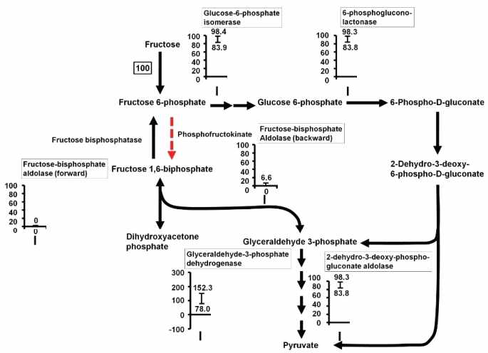 Fructose 탄소원 조건에서의 in-silico 분석 결과(Park et al., 2011, BMC Systems Biology)