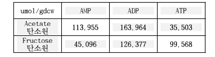 각 탄소원 조건일 때 AMP, ADP, ATP 농도