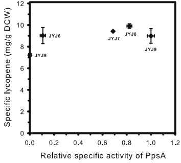 ppsA activity에 따른 Specific lycopene