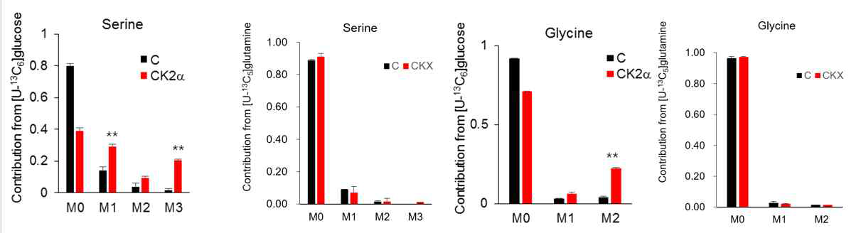 MID of serine and glycine under U-13C glucose/U-13C glutamine