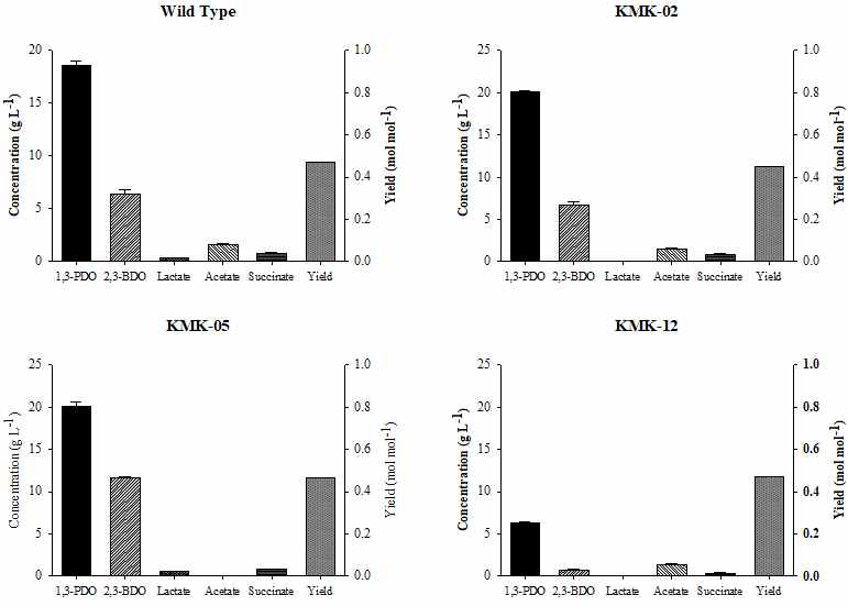 야생종 Klebsiella pneumoniae 균주 (Wild Type)과 KMK-02, KMK-05, KMK-12균주의 대사체 생성량과 1,3-propanediol 생산수율 비교