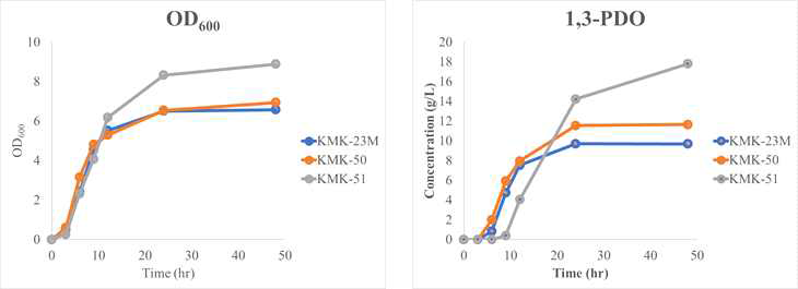 시간에 따른 KMK-23M과 KMK-50, KMK-51균주의 OD600과 1,3-propanediol의 생산비교