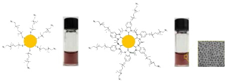 (좌) Thiol 분자와 (우) 카벤 분자로 개질된 금 나노프로브