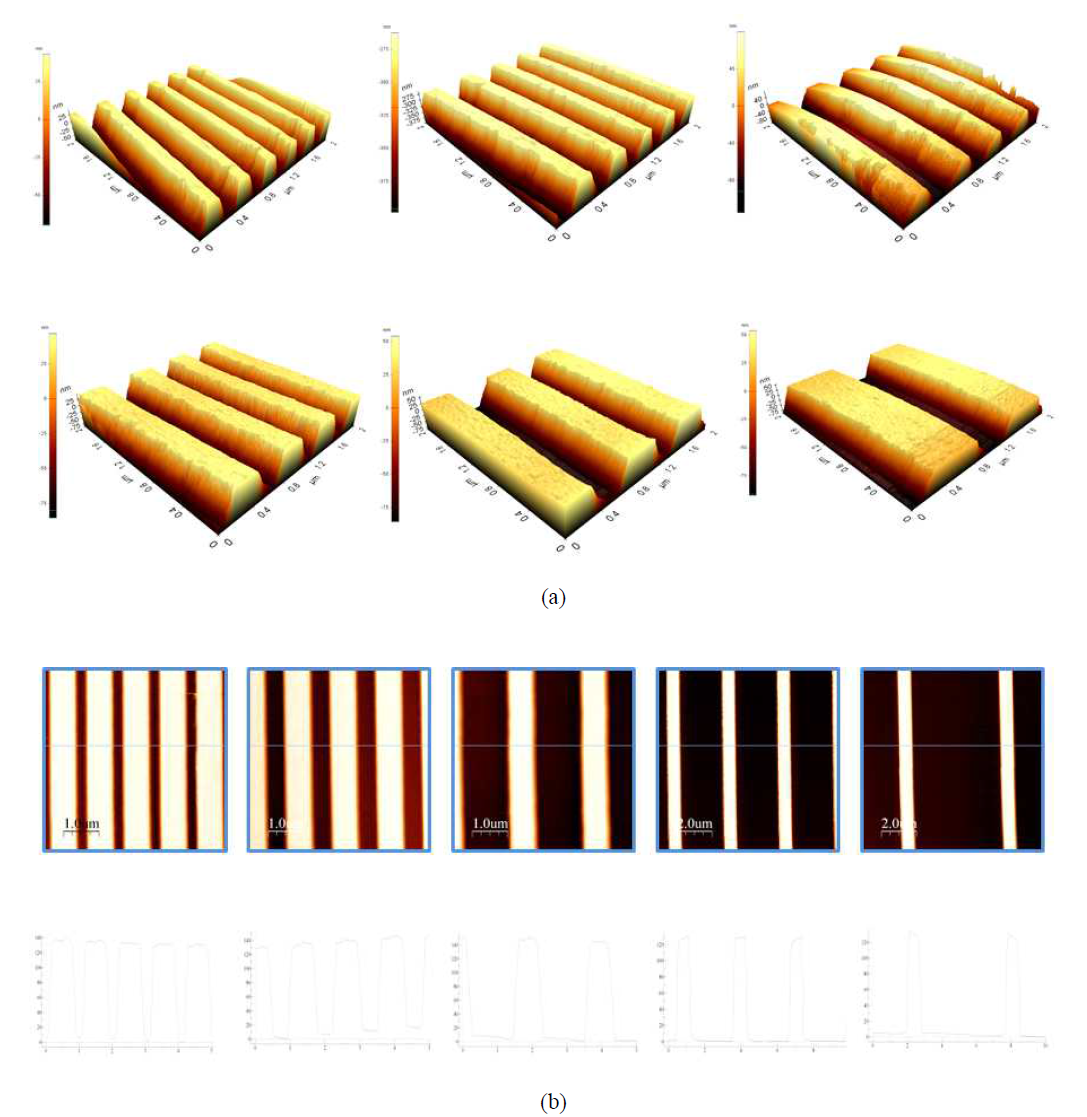 AFM으로 측정한 성능검증용 시험편 (a) 3D images, (b) line data
