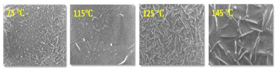 열처리 온도에 따른 압전 폴리머 박막의 미세 구조, 표면 SEM 이미지