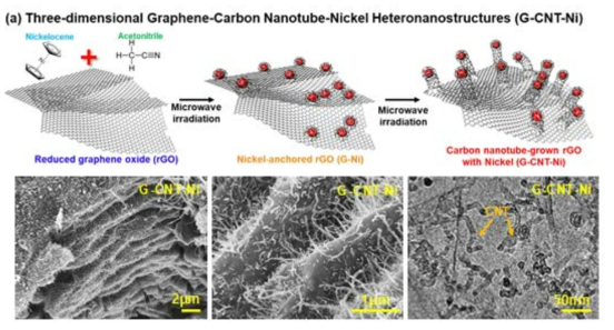 결함공학을 이용한 그래핀-탄소나노튜브-니켈 나노구조체 합성 방법 및 SEM 이미지