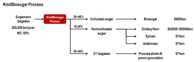 KrictBiosugar Process를 통해 사탕수수 버게스로부터 생산 가능한 산물