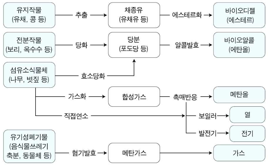 주요 바이오매스, 용도 및 바이오 에너지의 종류