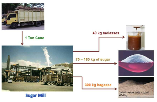 사탕수수 이용한 설탕 생산 및 부산물 발생 물질수지