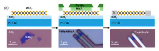 MoS2 트랜지스터 이미지, 모식도, 광학 현미경 사진 (ACS Nano, 9, 8044 (2015))