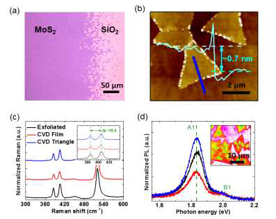 화학기상증착법으로 합성된 대면적 MoS2 광학현미경 및 전자현미경(AFM)이미지, 라만 및 광발광 스펙트럼 (ACS Nano, 10, 2819 (2016))